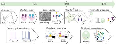 Open Frontiers in Neural Cell Type Investigations; Lessons From Caenorhabditis elegans and Beyond, Toward a Multimodal Integration